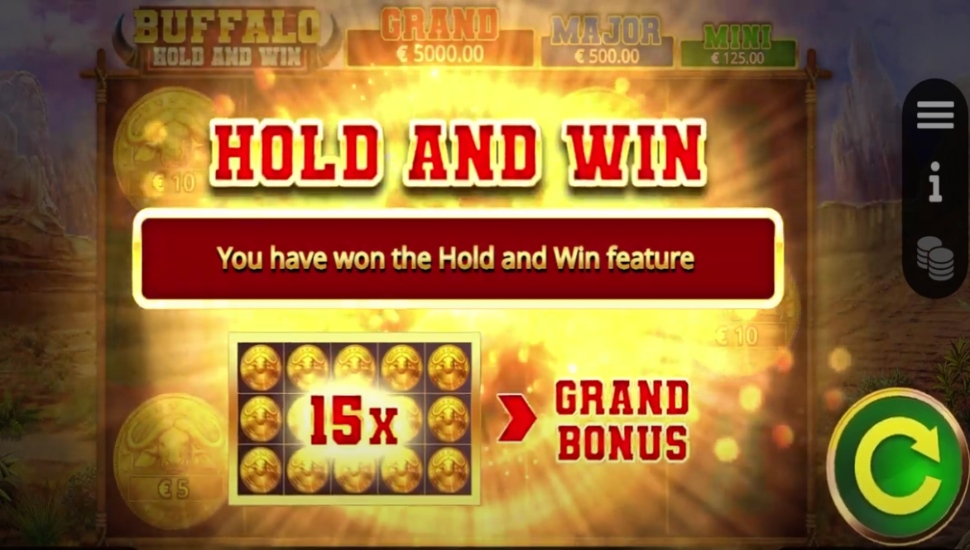 Buffalo Hold and Win - Bonus Features