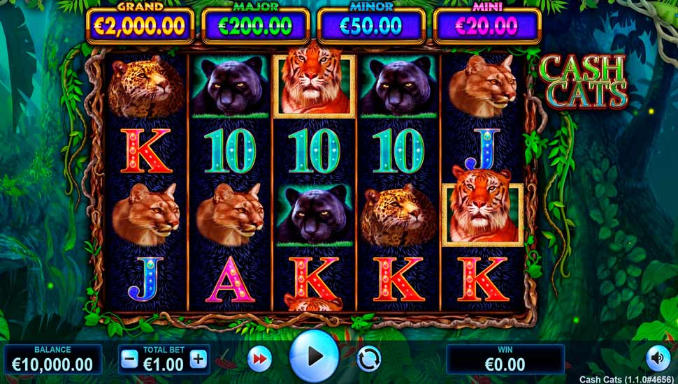Cash Cats Slot preview