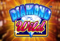 Diamond Wild Slot - Review, Free & Demo Play logo