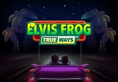 Elvis Frog TrueWays Slot - Review, Free & Demo Play logo