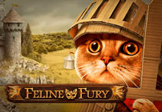 Feline Fury Slot - Review, Free & Demo Play logo