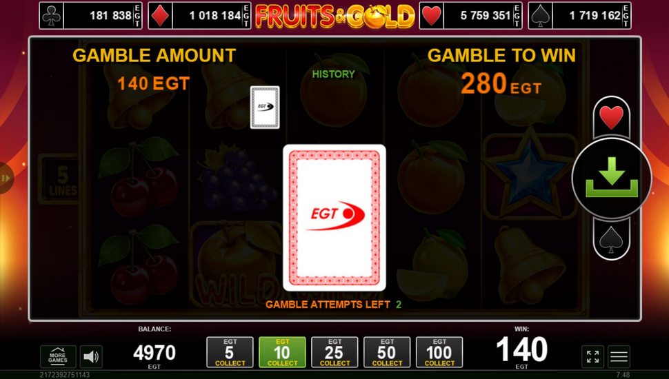 Fruits & Gold Slot - Risk Game