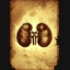Liver symbol