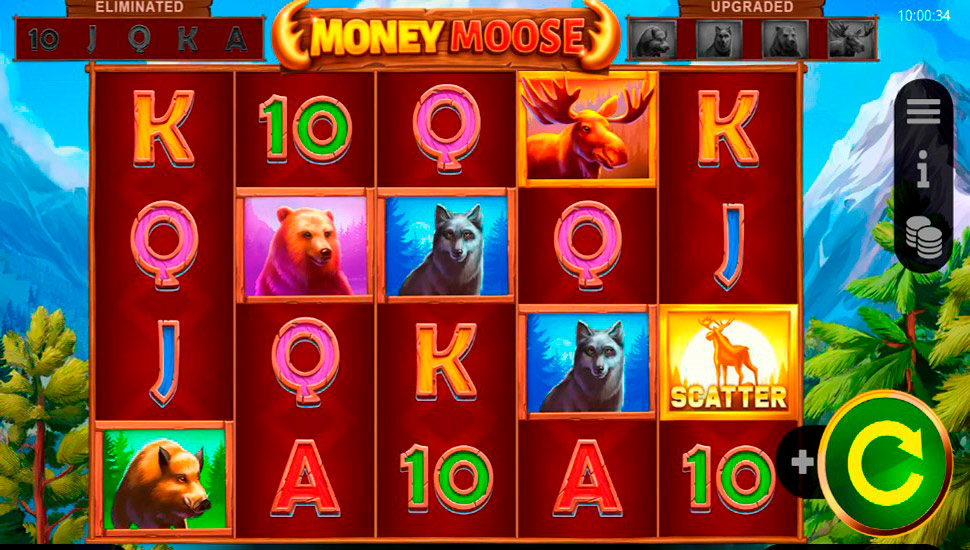 Money Moose Slot preview