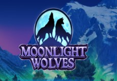 Moonlight Wolves Slot - Review, Free & Demo Play logo