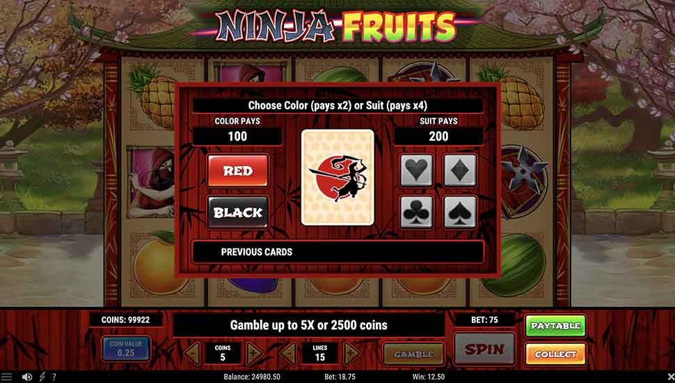 Ninja Fruits slot gamble