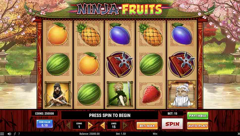 Ninja Fruits Slot – Review, Free & Demo Play