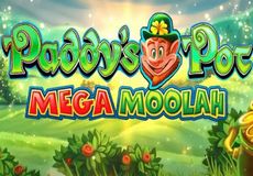 Paddy's Pot Mega Moolah