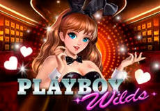 Playboy Wilds Slot - Review, Free & Demo Play logo