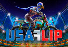 USA Flip Slot - Review, Free & Demo Play logo