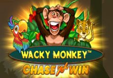 Wacky Monkey Chase 'N' Win Slot - Review, Free & Demo Play logo