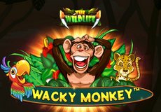 Wacky Monkey Slot - Review, Free & Demo Play logo