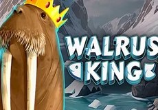 Walrus King Slot Review | Octoplay | Demo & FREE Play logo