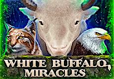 White Buffalo Miracles Slot - Review, Free & Demo Play logo