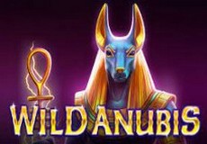 Wild Anubis Slot - Review, Free & Demo Play logo
