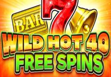 Wild Hot 40 Free Spins