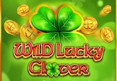 Wild Lucky Clover