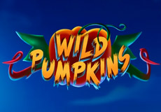 Wild Pumpkins Slot - Review, Free & Demo Play logo