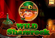 Wild Shamrock Slot - Review, Free & Demo Play logo