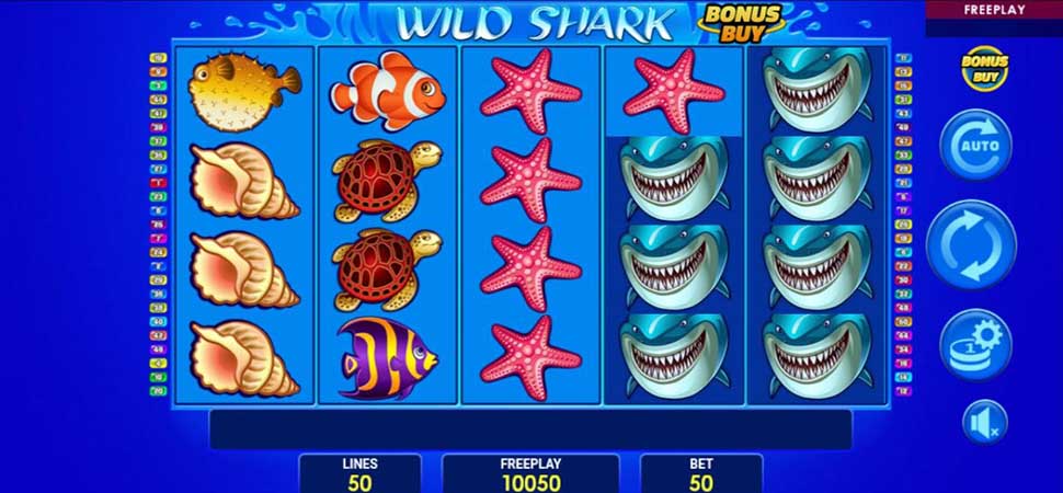 Wild Shark Free Play in Demo Mode