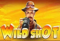 Wild Shot Slot - Review, Free & Demo Play logo