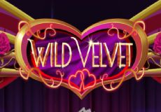 Wild Velvet