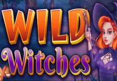 Wild Witches Slot - Review, Free & Demo Play logo