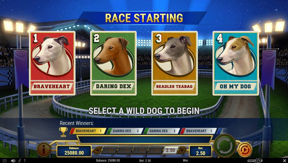 Wildhound Derby Slot - Free Spins