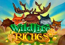 Wildlife Riches Slot - Review, Free & Demo Play logo