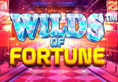 Wilds of Fortune Slot Logo
