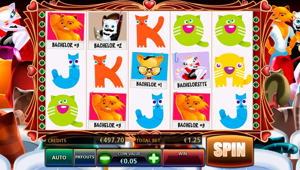 The Purrfect Match slot
